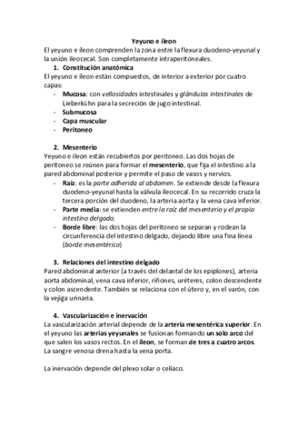 Yeyuno e ileon.pdf