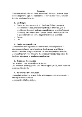 Páncreas.pdf