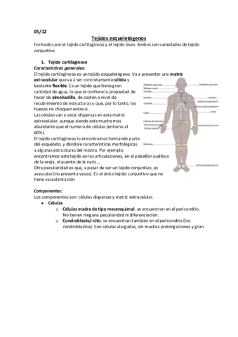 Tejido cartilaginoso.pdf