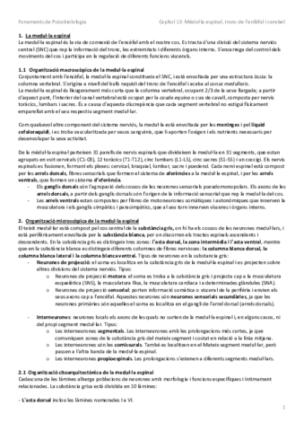 Resum Capítol 13.pdf