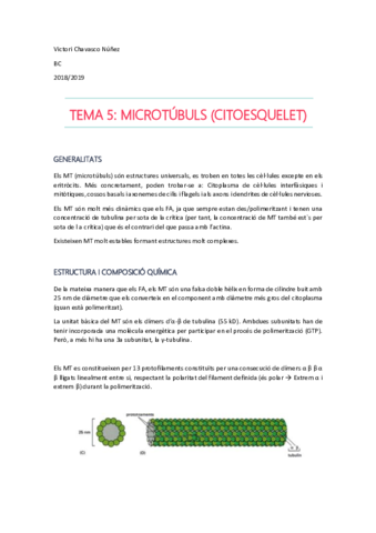 Tema 5- microtubuls.pdf