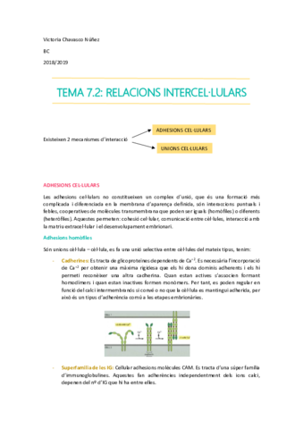 TEMA 7.2- UNION CELULARES.pdf