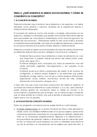 TEMA 2.pdf