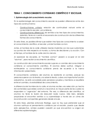 TEMA 1.pdf