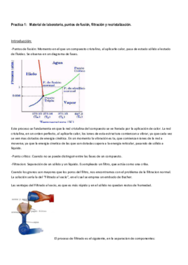 quimica organica practicas.pdf