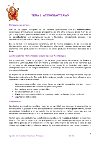 Tema 6 Actinobacterias.pdf