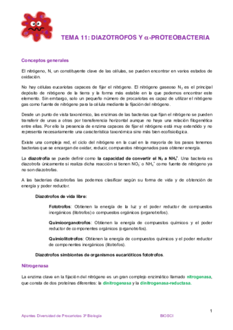 Tema 11 Diazotrofos y alfa-proteobacteria.pdf