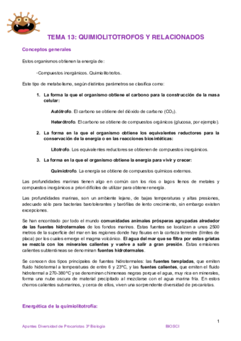 Tema 13 Quimiolitotrofos y relacionados.pdf