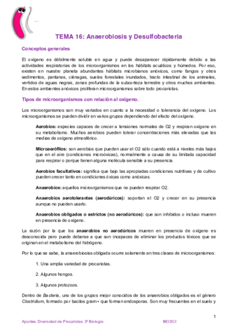 Tema 16 Anaerobiosis y desulfobacteria.pdf