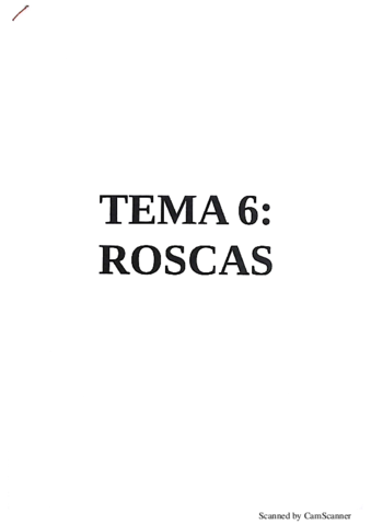 TEMA 6-ROSCAS.pdf