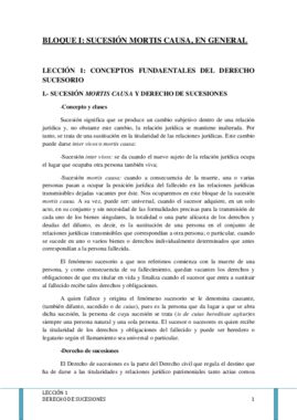 LECCIÓN 1.pdf