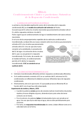 TEMA 6 aprendizaje.pdf