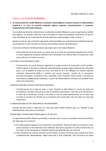 Derecho Constitucional.pdf