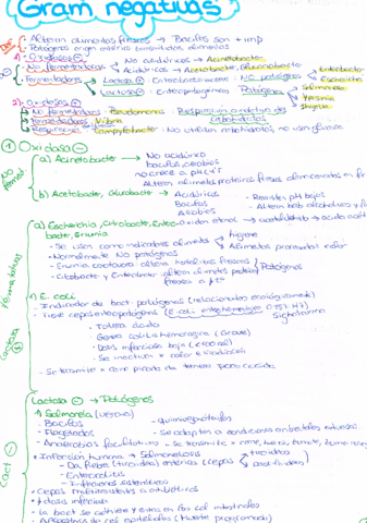GRAM NEG.pdf