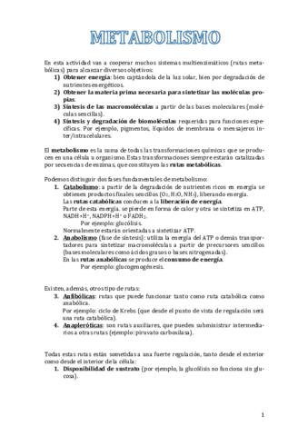 Metabolismo.pdf