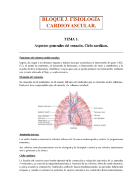 BLOQUE 3.pdf