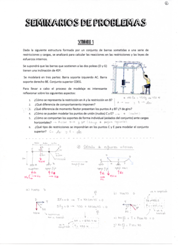 SEMINARIOS RM.pdf