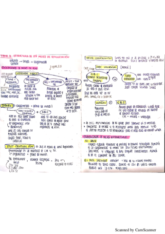 t3 historia y estructura MDC.pdf