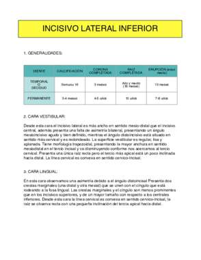 incisivo lateral inferior.pdf