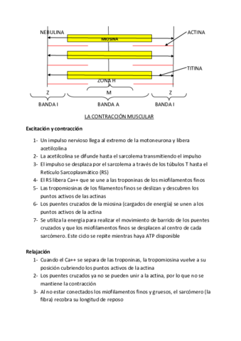 preguntas largas examen .pdf