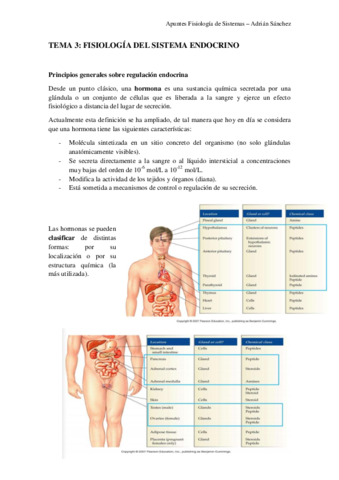 TEMA 3 fisiología.pdf