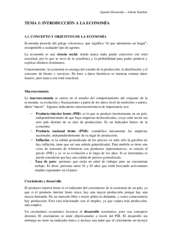 Tema 1 Economía.pdf