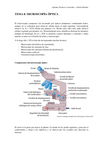 TEMA 8 técnicas.pdf