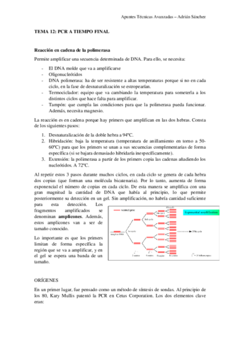 TEMA 12 técnicas.pdf