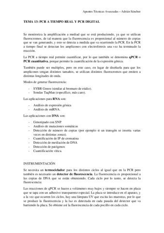 TEMA 13 técnicas.pdf