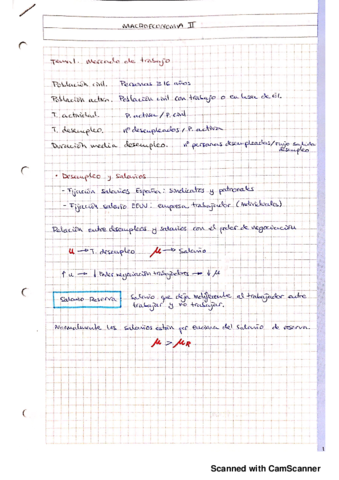 Apuntes t (1-4).pdf