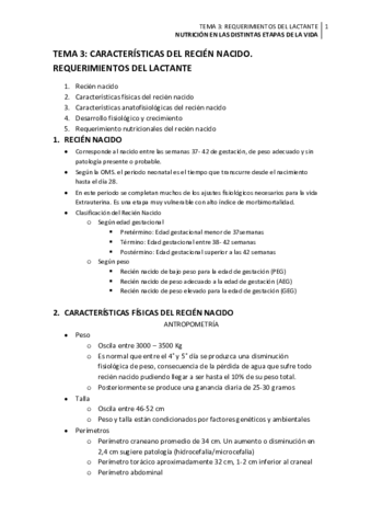 APUNTES TEMA 3.pdf