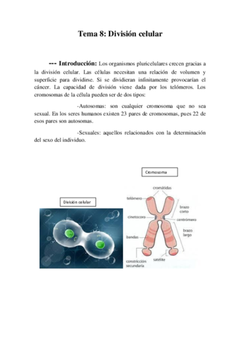 Tema 8 División celular.pdf