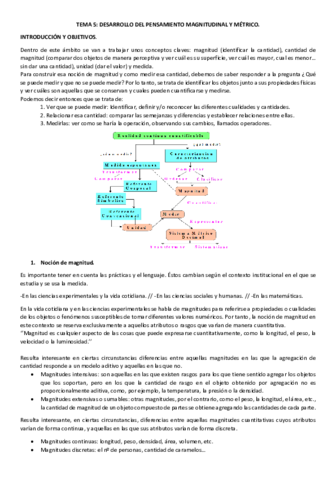 TEMA 5 magnitudes apuntes.pdf