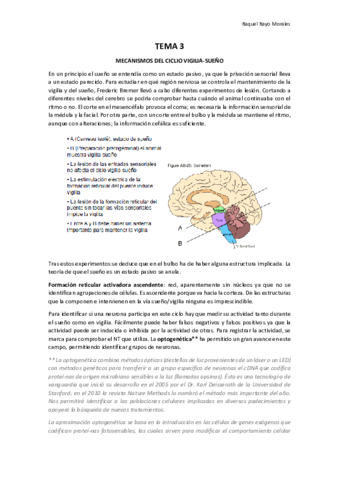 Apuntes T3.pdf