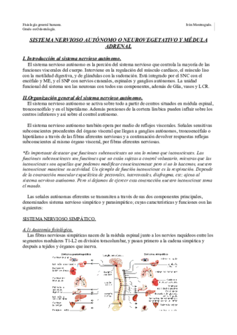 Tema 7. Sistema neurovegetativo y médula adrenal..pdf