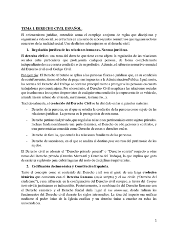 TEMA 1.pdf