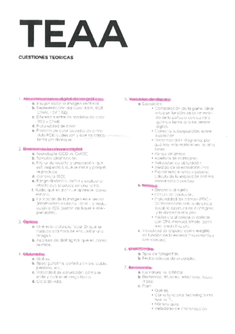 TEAA.pdf