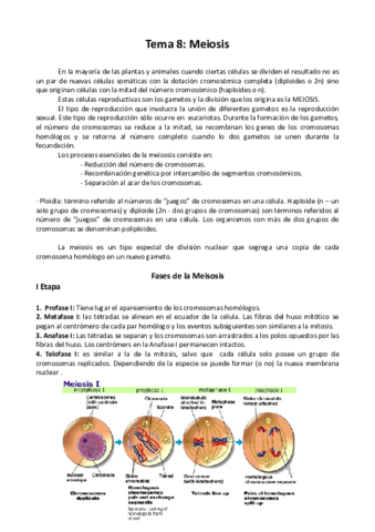 Meiosis imprimir.pdf