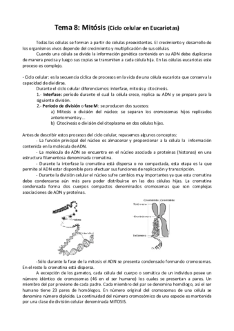 Mitosis imprimir.pdf