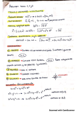 MATEMATICAS II resumen tema 1-4.pdf