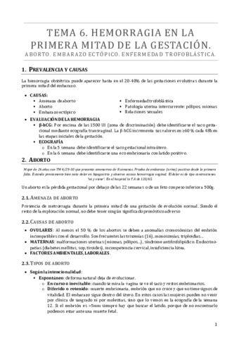 TEMA 6.pdf