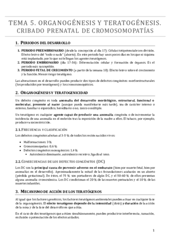 TEMA 5.pdf