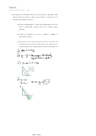 Ejercicios Tema 1.pdf