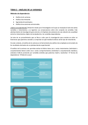 Tema 5.pdf