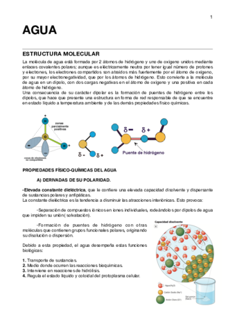 1.AGUA Y EQUILIBRIO.pdf