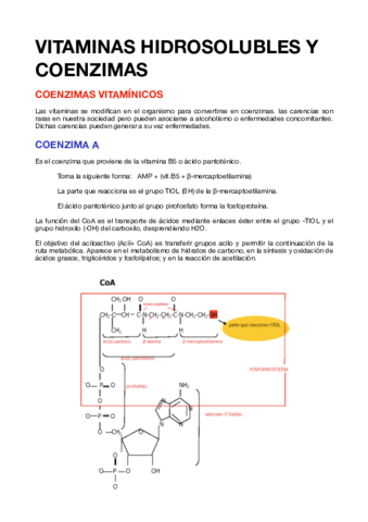 10.VITAMINAS HIDROSOLUBLES Y COENZIMAS.pdf