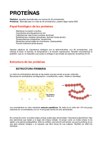 3.PROTEÍNAS.pdf
