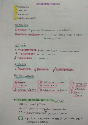 Diagrama floral.pdf