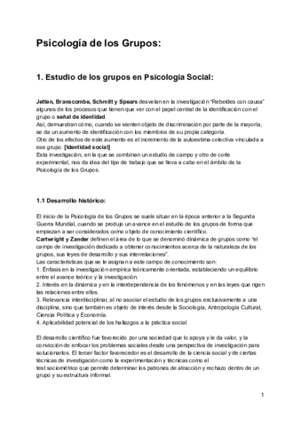 Apuntes Completos Psicología de los Grupos.pdf