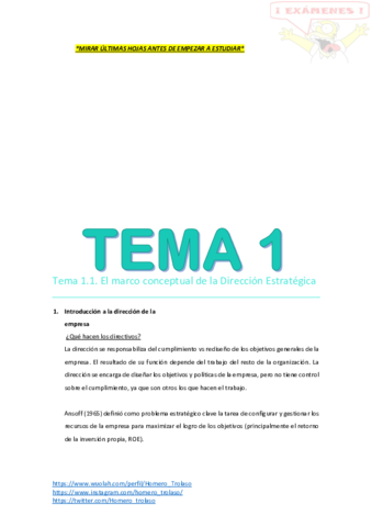 APUNTES COMPLETOS DIRECCIÓN ESTRATÉGICA Y POLÍTICA EMPRESARIAL I.pdf